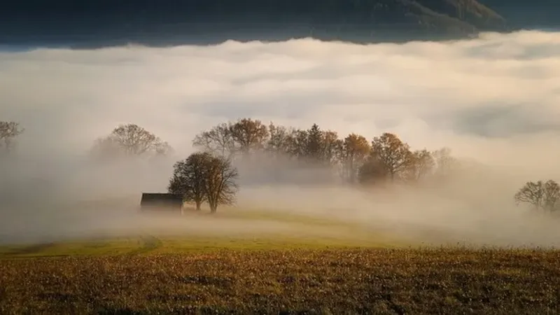 Жетілген орыс әйелдерімен әдемі орыс порно Зауыттағы порно