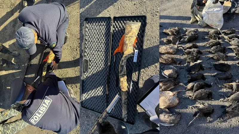 55 үйрек пен қасқалдақ: Заңсыз аңшылықпен айналысқан қазақстандық ұсталды