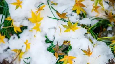 Қар, ауа райы болжамы, 29 қазан, Қазақстан, дауылды ескерту, сурет - Zakon.kz жаңалық 28.10.2025 18:18