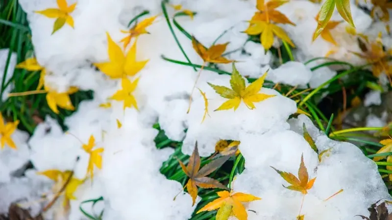 Қар жауып, қатты жел тұрады. "Қазгидромет" 29 қазанға арналған ауа райы болжамын жариялады