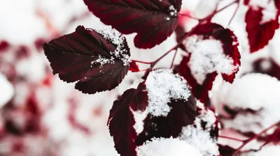 Қар, жаңбыр және +24°C жылы: Астана, Алматы және Шымкентте ауа райы қандай болады, сурет - Zakon.kz жаңалық 30.10.2025 17:30