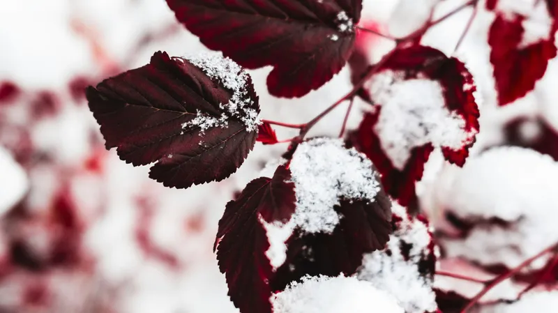 Қар, жаңбыр және +24°C жылы: Астана, Алматы және Шымкентте ауа райы қандай болады