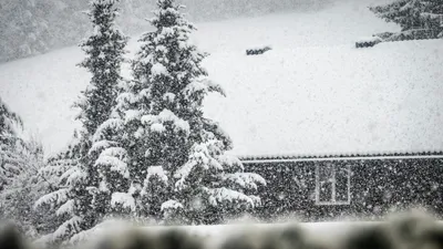 Астанада алғашқы қар, ал Алматы мен Шымкентте жаңбыр жауады: 1-3 қарашаға арналған ауа райы, сурет - Zakon.kz жаңалық 31.10.2025 17:07