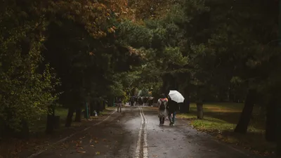 Қыс таяп қалды: 1 қарашада Қазақстанда ауа райы күрт бұзылады, сурет - Zakon.kz жаңалық 31.10.2025 17:54