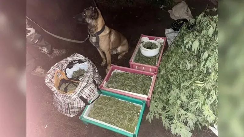 Көліктегі Настяның порносын онлайн көру