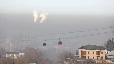 Тұмша: синоптиктер Алматы тұрғындары мен қонақтарына үндеу жасады, сурет - Zakon.kz жаңалық 02.11.2025 09:49