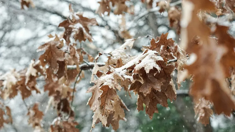 Жаңбыр, қар және көктайғақ: 3 қарашаға арналған ауа райы болжамы