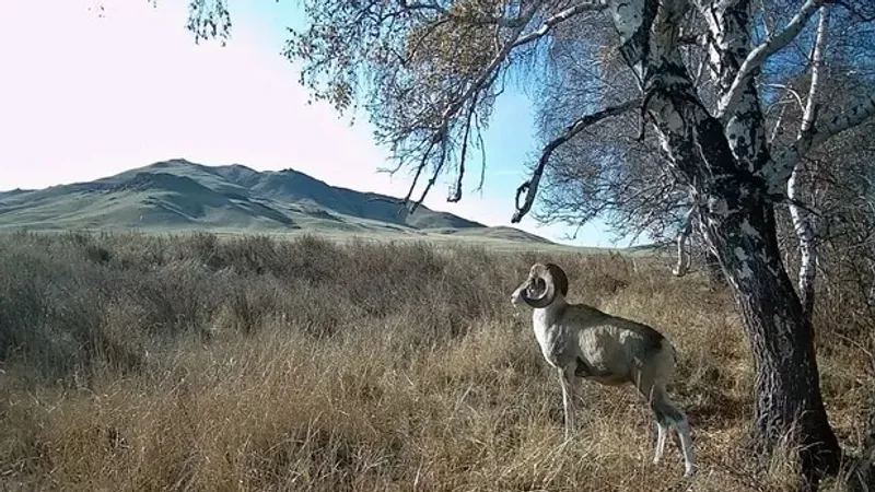 Эротикалық жұптардың ақ-қара фотосуреті