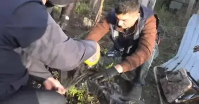 БҚО-да тыйым салынған өсімдіктерді өсіретін жасырын зертхана анықталды, сурет - Zakon.kz жаңалық 02.11.2025 10:31