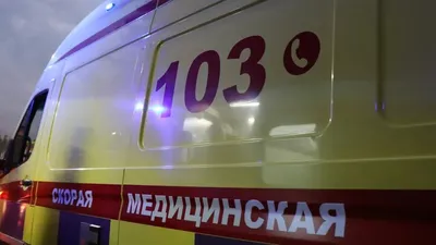 Жедел жәрдем, Маңғыстау облысы, қаңғыбас, мысық, тістеу, ер адам, құтыру, сурет - Zakon.kz жаңалық 03.11.2025 19:21