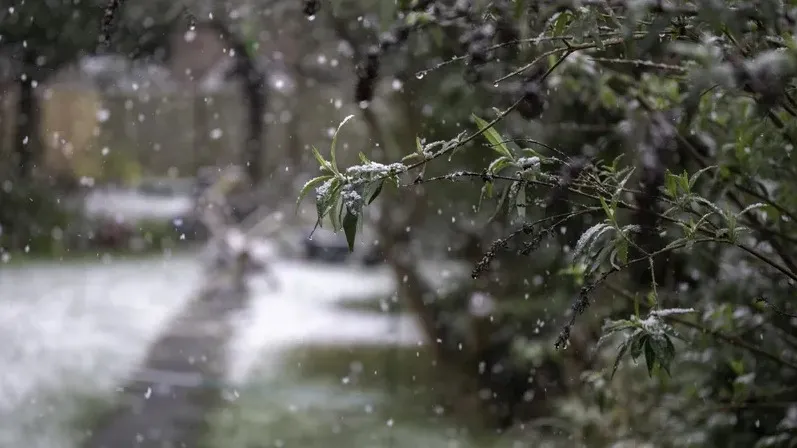 Қара әйелдермен лесбиянкалық порно көру