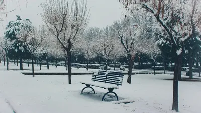 Қар, аяз, боран, ауа райы болжамы, 4 қараша, 5 қараша, 6 қараша, дауылды ескерту, сурет - Zakon.kz жаңалық 03.11.2025 22:06