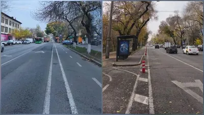 3 қарашадан бастап қалалық Жол қозғалысын және жолаушылар тасымалын ұйымдастыру басқармасы веложолақтардың бойына орнатылған сигналдық боллардтарды алу жұмыстарын бастады., сурет - Zakon.kz жаңалық 04.11.2025 15:39