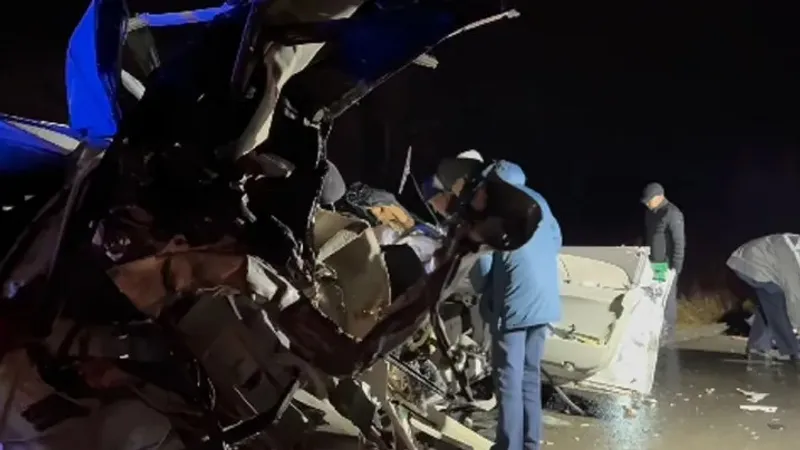 Басқалармен жыныстық форумдар Патрисия Ромберг фильмі