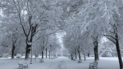 Астана, Алматы және Шымкентте 5-7 қарашада жауын-шашын, аяз және боран күтіледі, сурет - Zakon.kz жаңалық 04.11.2025 16:10