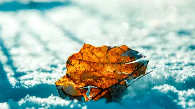 Циклон қар мен боран әкеледі: Қазақстанда ауа райы күрт бұзылады, сурет - Zakon.kz жаңалық 05.11.2025 18:14