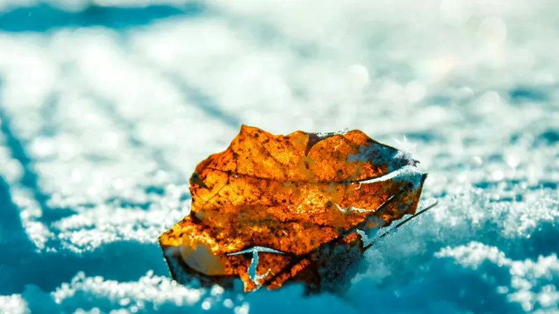 Циклон қар мен боран әкеледі: Қазақстанда ауа райы күрт бұзылады