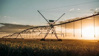 Су ресурстары және ирригация министрлігінің Жерасты сулары департаментінің директоры Жайық Ерікұлы 2025 жылғы 5 қарашада өткен ОКҚ брифингте елдегі ауыл шаруашылығы алқаптарына су үнемдеу технологияларын енгізу жұмыстары туралы айтты, деп хабарлайды Zakon.kz тілшісі., сурет - Zakon.kz жаңалық 05.11.2025 15:28