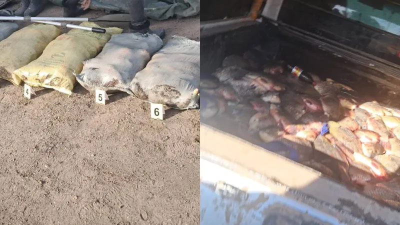 Павлодар облысында полицейлер браконьерден 300 келіге жуық балық тәркіледі