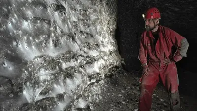 Әлемдегі ең үлкен өрмек торы табылды – 106 шаршы метр, сурет - Zakon.kz жаңалық 06.11.2025 10:05