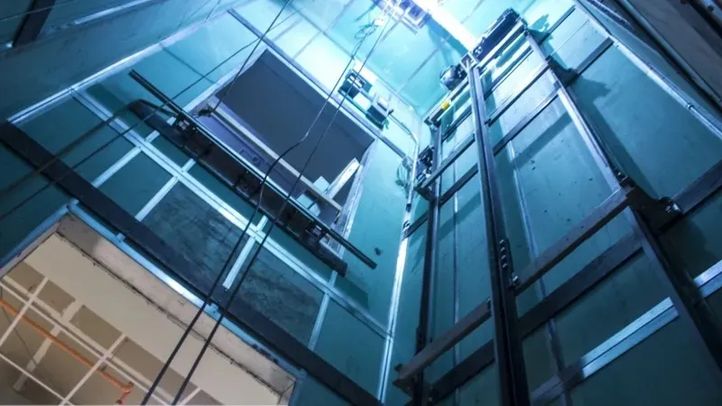 Орман трусики Сексуалдық бойдақтар кеші