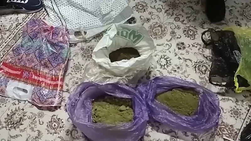 Астанада есірткіге қарсы күрес нәтижесінде 400 келіден астам есірткі тәркіленді