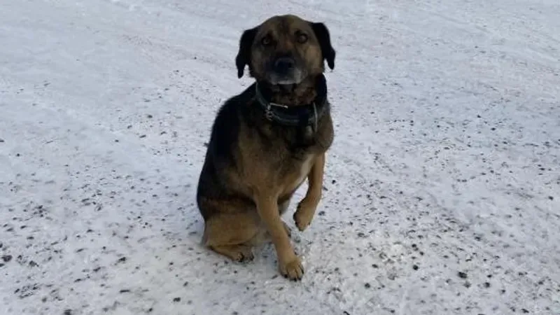 Мен анамның порносын тыңдадым Лесбиянкалар анальды жыныстық қатынасқа түседі