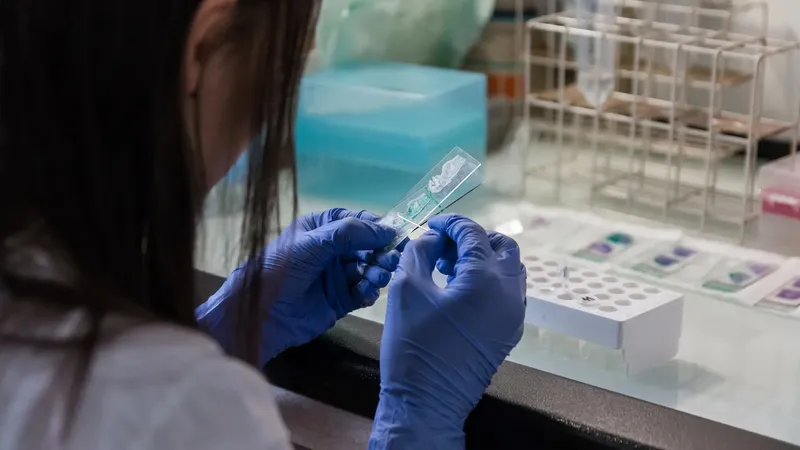 Алматы облысы әкімдігі Байсерке ауылындағы сібір жарасы жағдайына түсінік берді