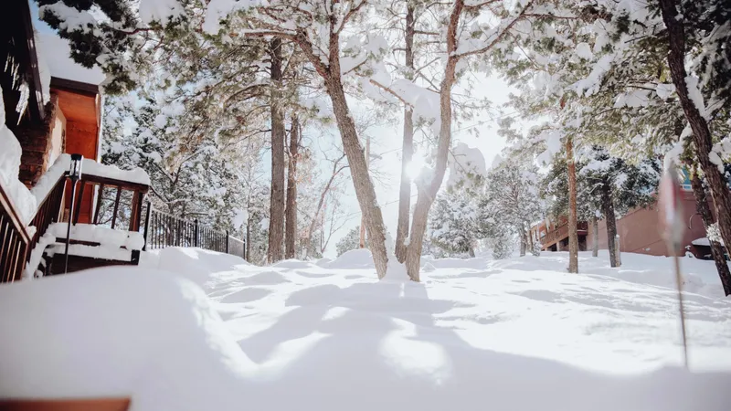 Астанада және елдің 13 өңірінде қар, жел және көктайғаққа байланысты ескерту жасалды