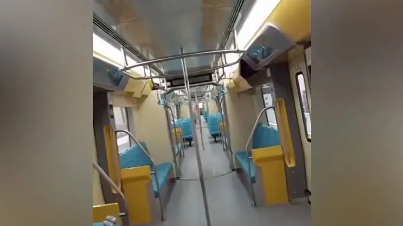 Транс порно көру