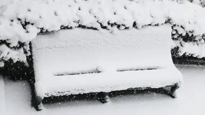 Қар, қолайсыз ауа райы, ауа райы болжамы, 11 қараша, сурет - Zakon.kz жаңалық 10.11.2025 18:25