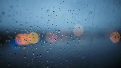 Нөсер жаңбыр, көктайғақ, ауа райы болжамы, 11 қараша, дауылды ескерту, сурет - Zakon.kz жаңалық 10.11.2025 22:58