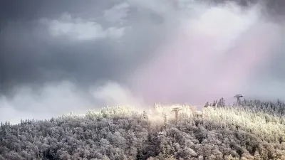 Қазақстандық фотограф Үлкен Алматы көліне барар жолдағы тылсым табиғат суреттерін жариялады , сурет - Zakon.kz жаңалық 10.11.2025 16:57