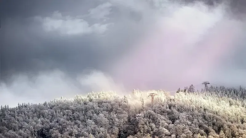 Қазақстандық фотограф Үлкен Алматы көліне барар жолдағы тылсым табиғат суреттерін жариялады