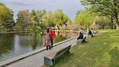 Алматыдағы Ботаникалық бақта әйелді ит тістеп алды, сурет - Zakon.kz жаңалық 11.11.2025 17:10