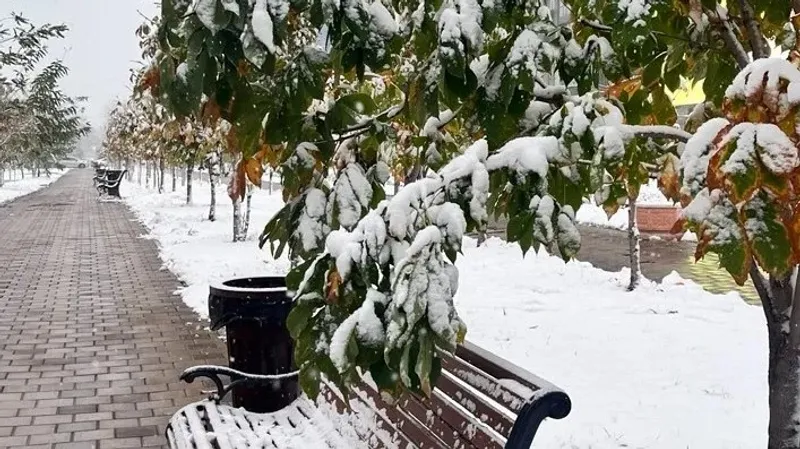 Қар, жаңбыр және жауын-шашынсыз күндер: 12 қарашада елімізде ауа райы қандай болады