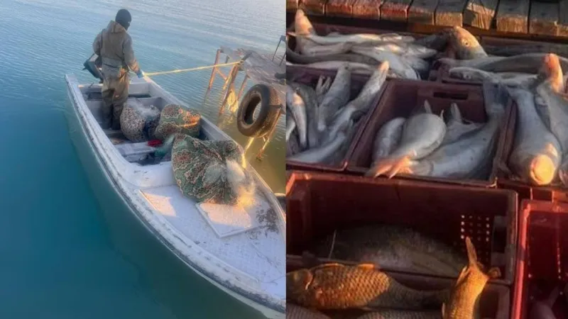 Балқаш көлінде браконьерлер ұсталды