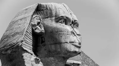 Мысырда туристік автобустың қатысуымен қорқынышты жол апаты болды. Экскурсиялық автобус Хургада қаласынан елдің басты көрікті жерлері – Каир мен Гиза пирамидаларына бағыт алған., сурет - Zakon.kz жаңалық 12.11.2025 09:13