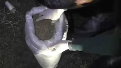 Жергілікті екі тұрғын ұсталды. , сурет - Zakon.kz жаңалық 13.11.2025 13:43