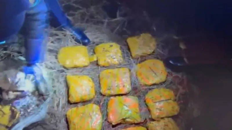 Ақмола облысында полицейлер тұрғыннан 12 келіден астам "синтетика" тәркіледі