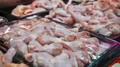 Қазақстанға Ресейден елге әкелінген 20 тонна құс еті кері қайтарылды, сурет - Zakon.kz жаңалық 14.11.2025 21:50