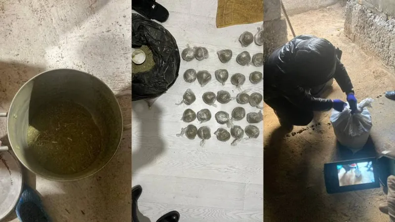 Қостанай облысында полицейлер шамамен 6 келі марихуана тәркіледі