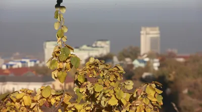 15 қарашада тоғыз қалада ауа сапасы нашарлайды, сурет - Zakon.kz жаңалық 15.11.2025 09:58