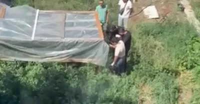 Павлодарда жергілікті тұрғыннан каннабис бұталары тәркіленді, сурет - Zakon.kz жаңалық 15.11.2025 16:41