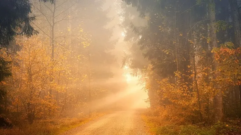 Қазақстанның бірнеше өңірінде тұман мен екпіні күшті жел туралы ескерту жасалды