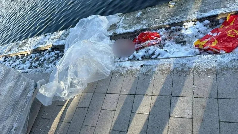 Мәскеуде тоғаннан 7-10 жас аралығындағы баланың бөлшектелген денесі табылды