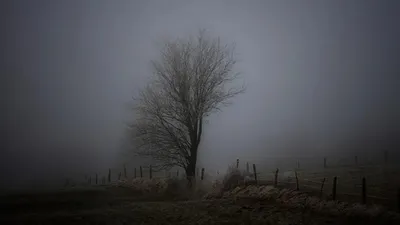 Қатты жел, тұман, көктайғақ, ауа райы болжамы, дауылды ескерту, 17 қараша, сурет - Zakon.kz жаңалық 16.11.2025 17:01