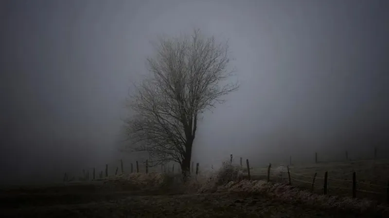 "Тұман, көктайғақ, қатты жел". Дүйсендібе еліміздің 14 өңірінде дауылды ескерту жарияланды