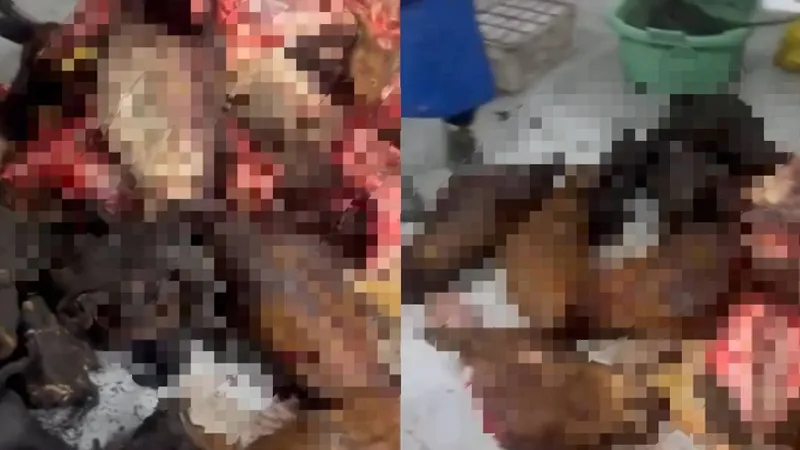 Астанада полицейлер заңсыз жұмыс істеп тұрған цехтан 180 қап ет тәркіледі