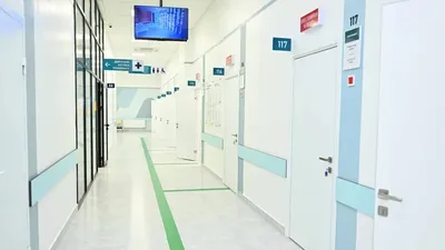 Емхана, Денсаулық министрі, бюрократиялық кедергілер , сурет - Zakon.kz жаңалық 17.11.2025 20:53